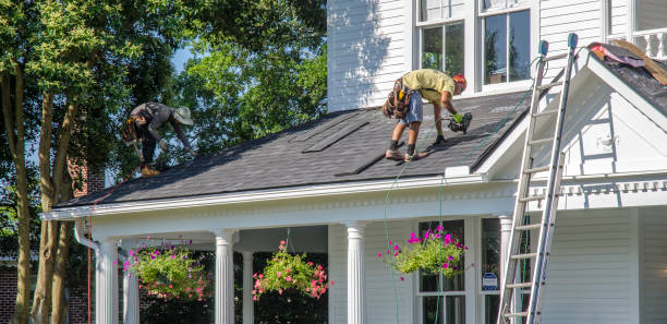 Roof Moss and Algae Removal in Burleson, TX